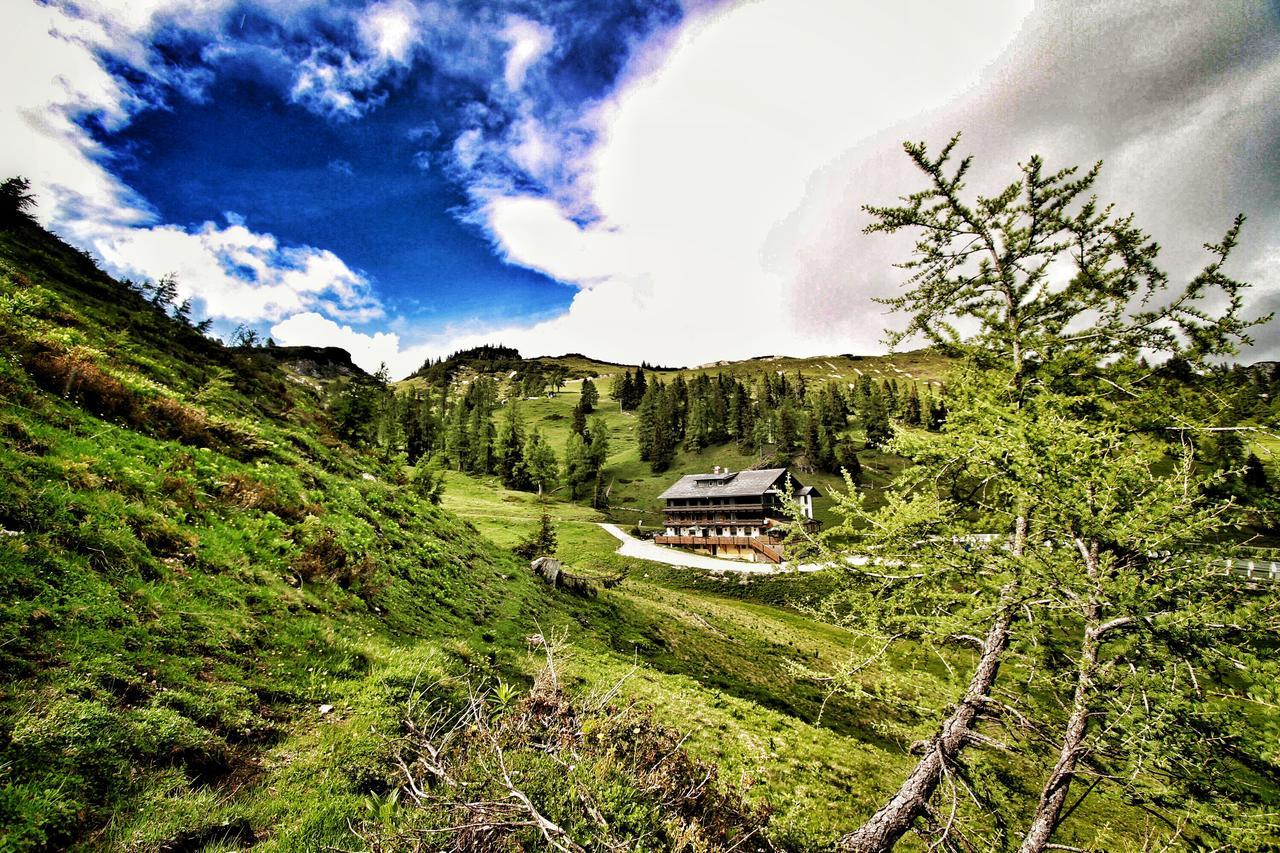 Alpen Arnika Hotel