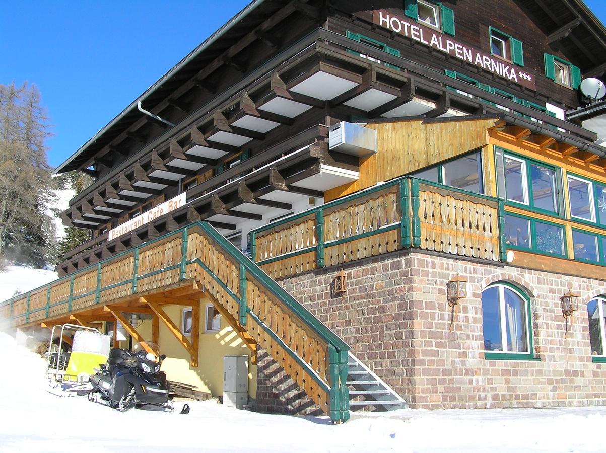 Alpen Arnika Tauplitzalm