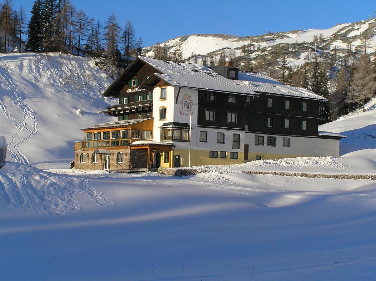 Alpen Arnika 3*