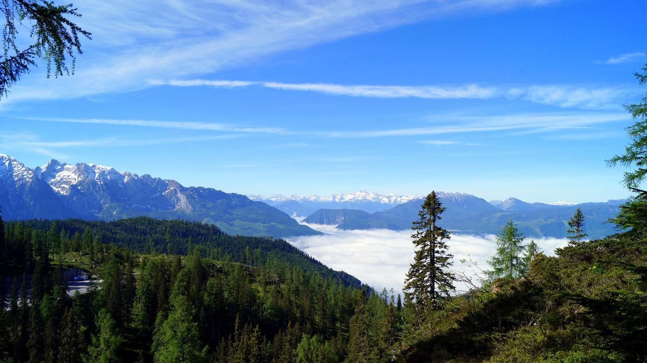 Alpen Arnika 3* Tauplitzalm