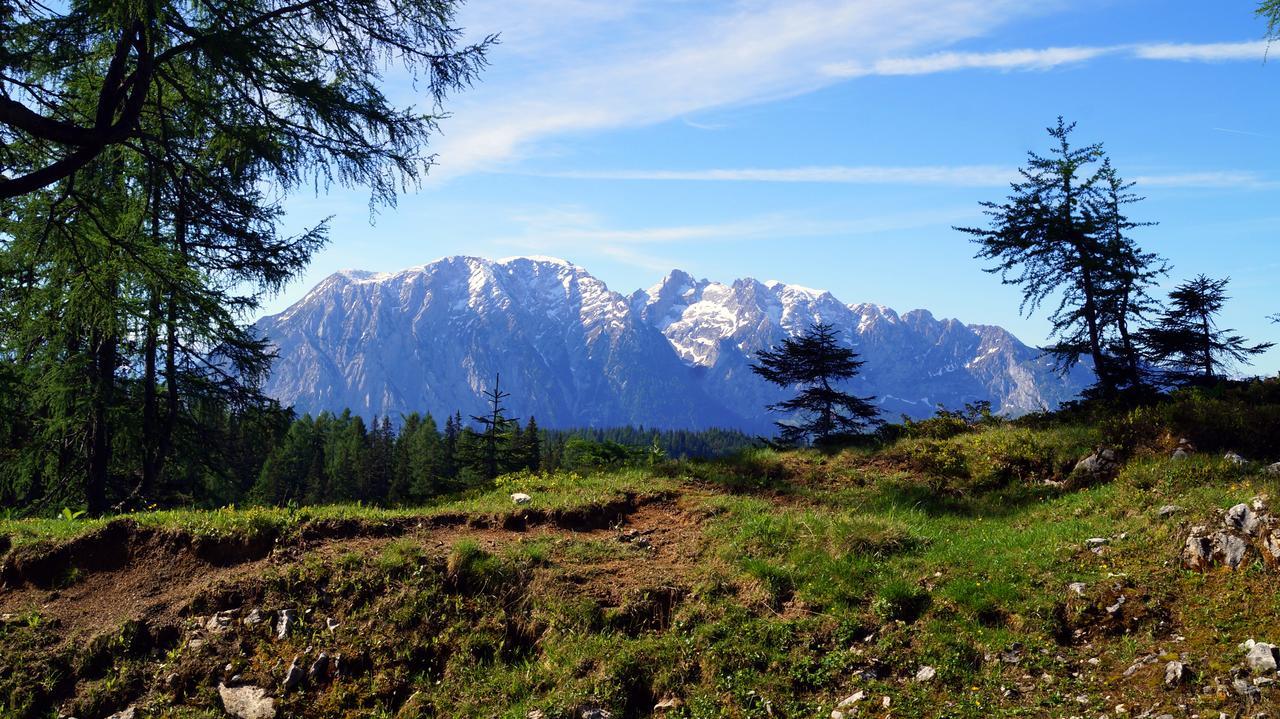 Alpen Arnika Hotel 3*