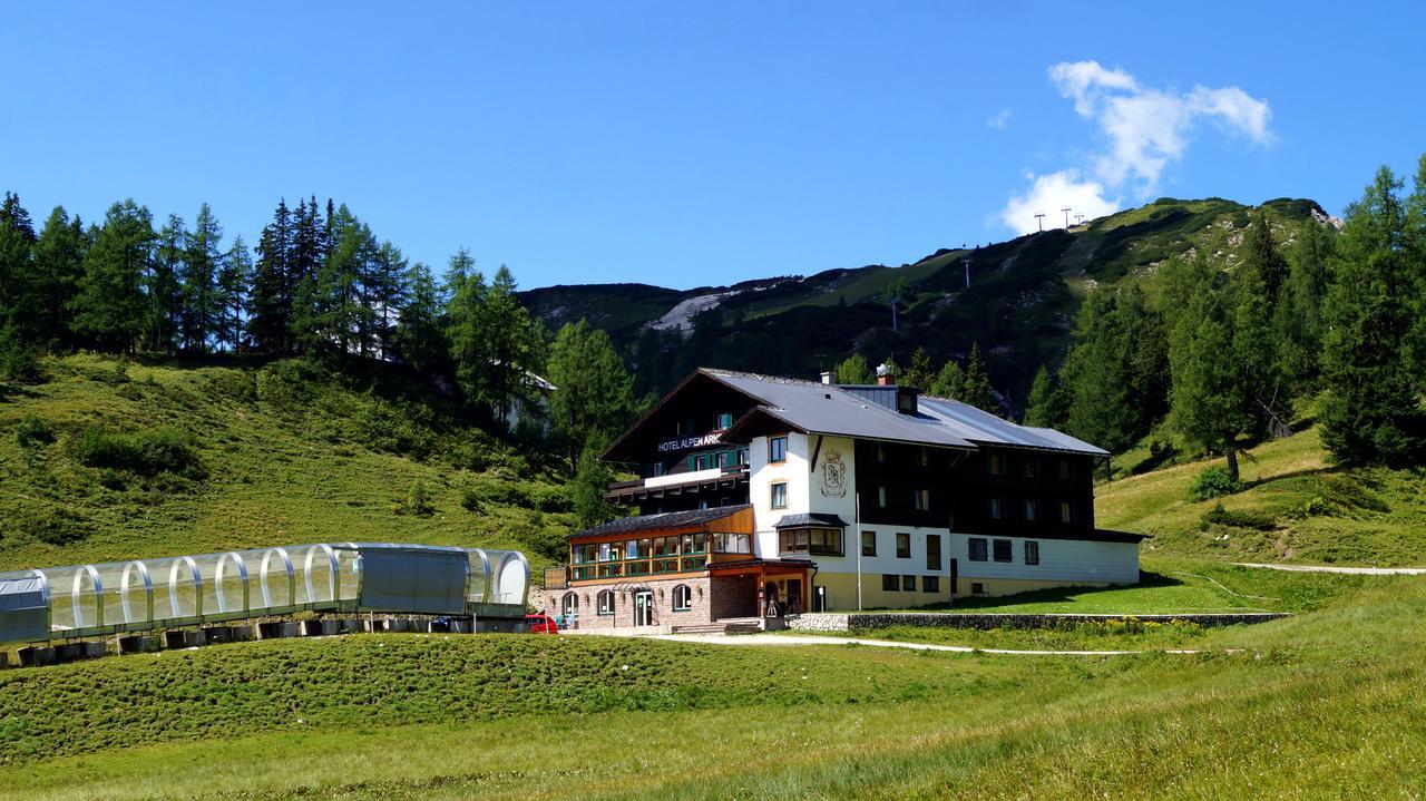 Alpen Arnika Tauplitzalm